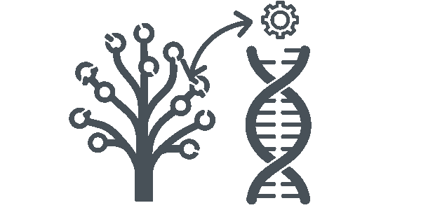 LLaMEA-SAGE: Guiding Automated Algorithm Design with Structural Feedback from Explainable AI